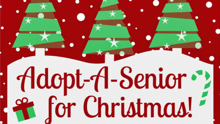 AdoptASenior this Christmas Season  Branson Register