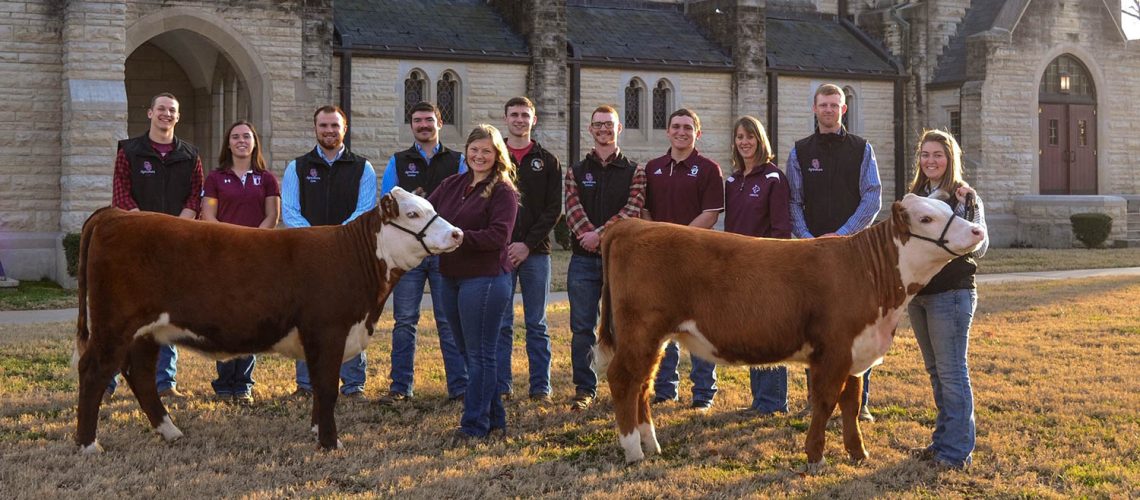 C of O students  (L-R): Sophomore Talan Saylor, senior Mikaila Livingston, senior Jake Cartwright, senior Hunter Lovewell, junior Carrie Otte, (in front with the first cow), senior Seth Harris, senior Hunter Ridenour, senior Sean Neal, Beef Farm Manager and Agronomy Supervisor Tammy Holder, senior Niko Kooi, and senior Livie Garrison (in front with second cow).