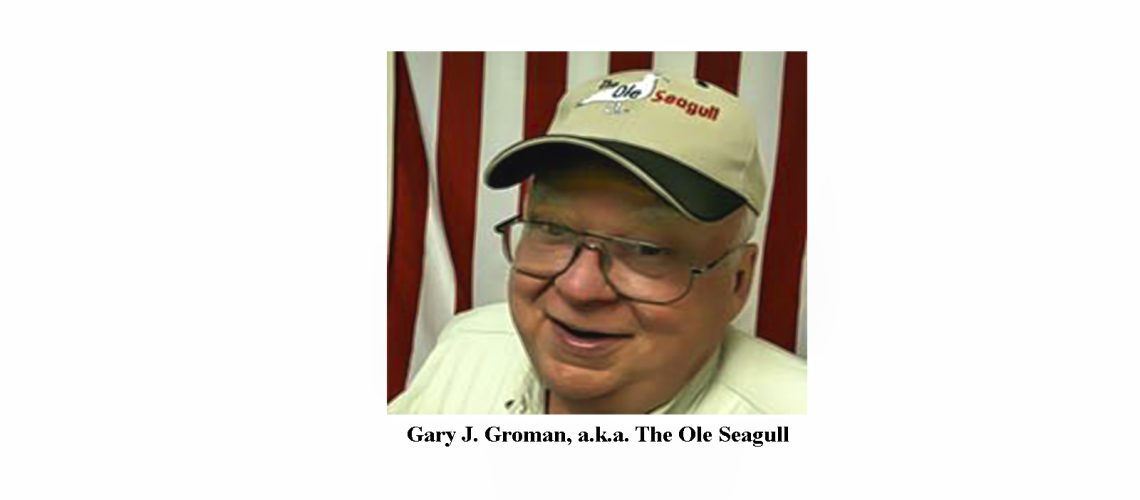 210219 Logos 24txt Ole Seagull