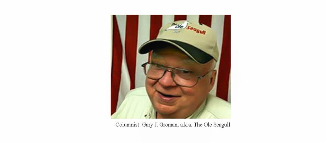 210219 Logos txt Ole Seagull
